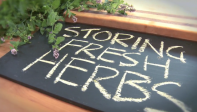 herbs herbs