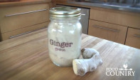 ginger
