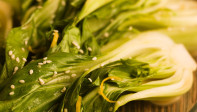 Asian Greens