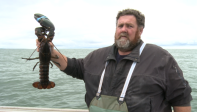 Episode 15 Lobster