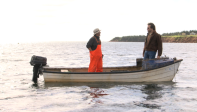 Episode 23 Oysters