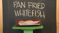 Episode 8 apn fired whitefish