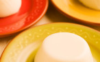 Panna Cotta