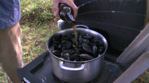 mussels